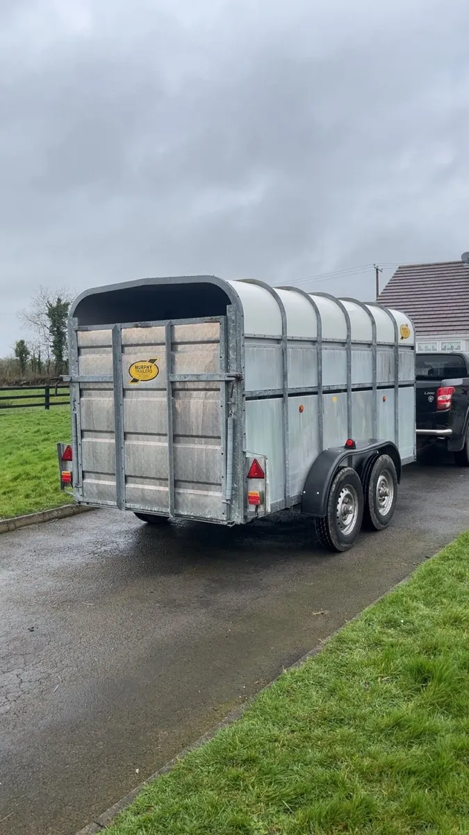 Cattle trailer - Image 3