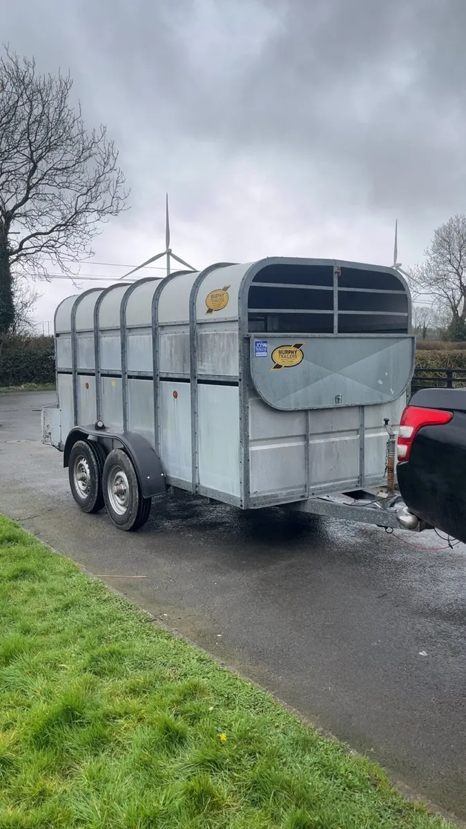 Cattle trailer - Image 2