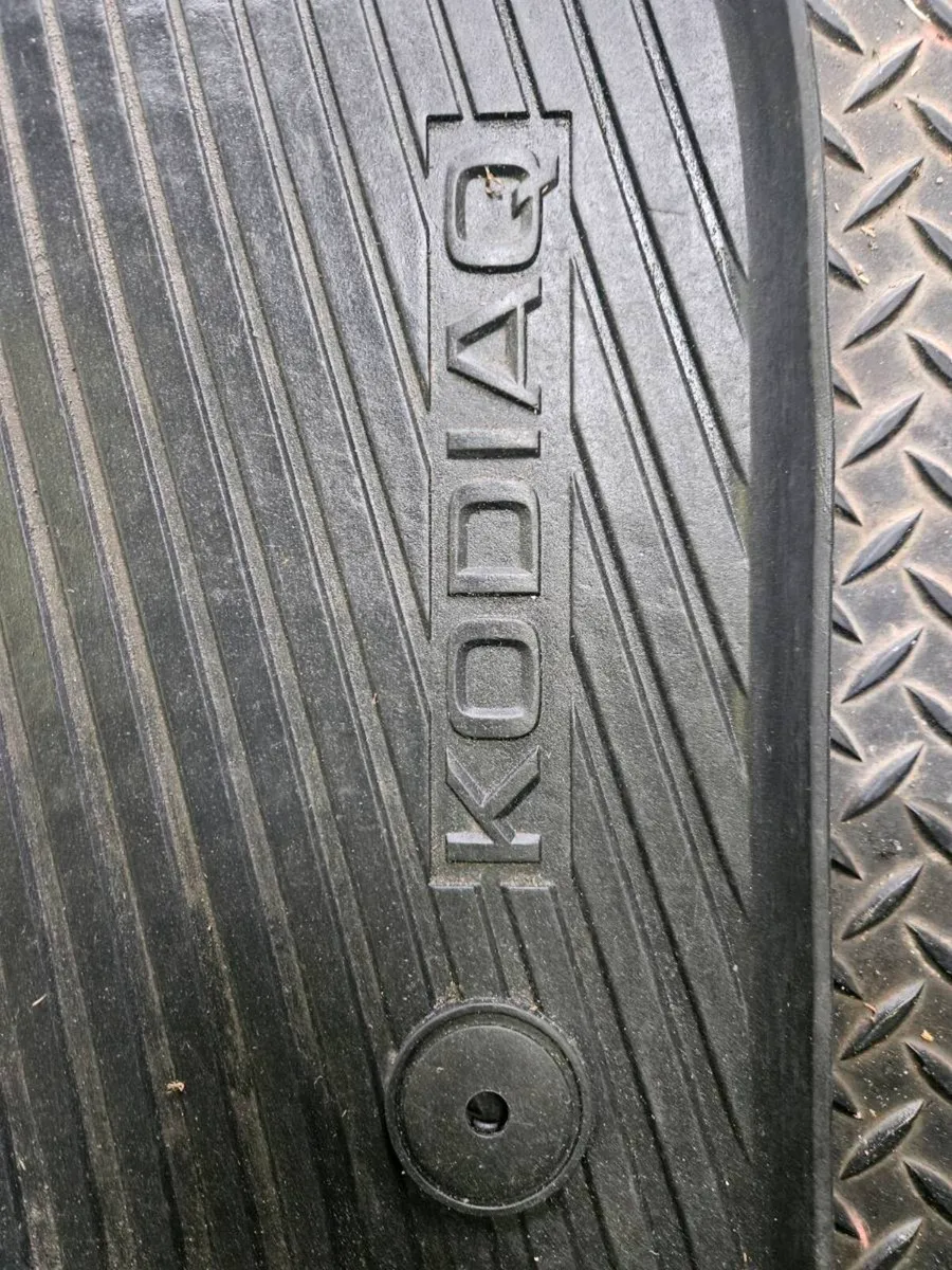 Kodiaq mats - Image 2