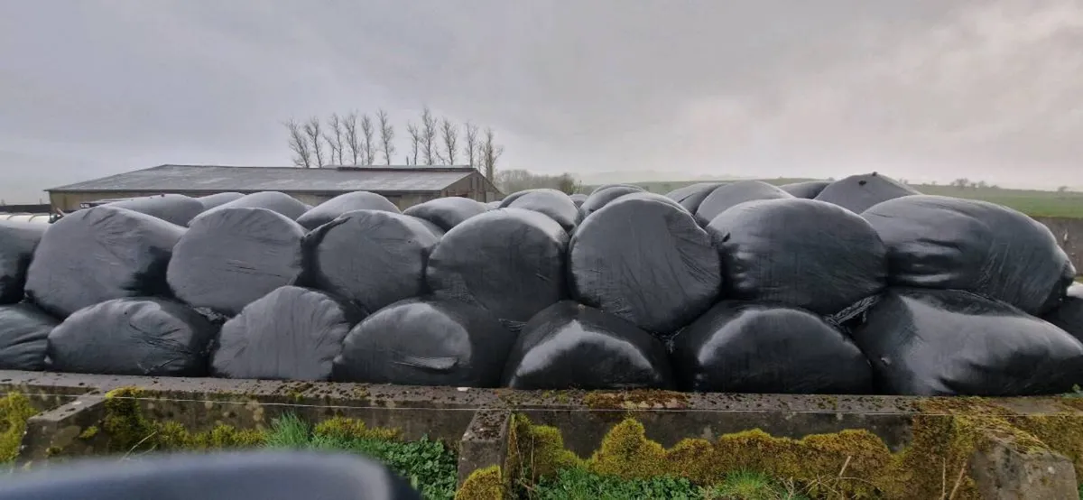 Silage Bales - Image 1
