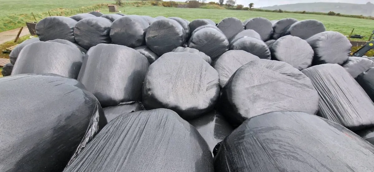 Silage Bales - Image 2