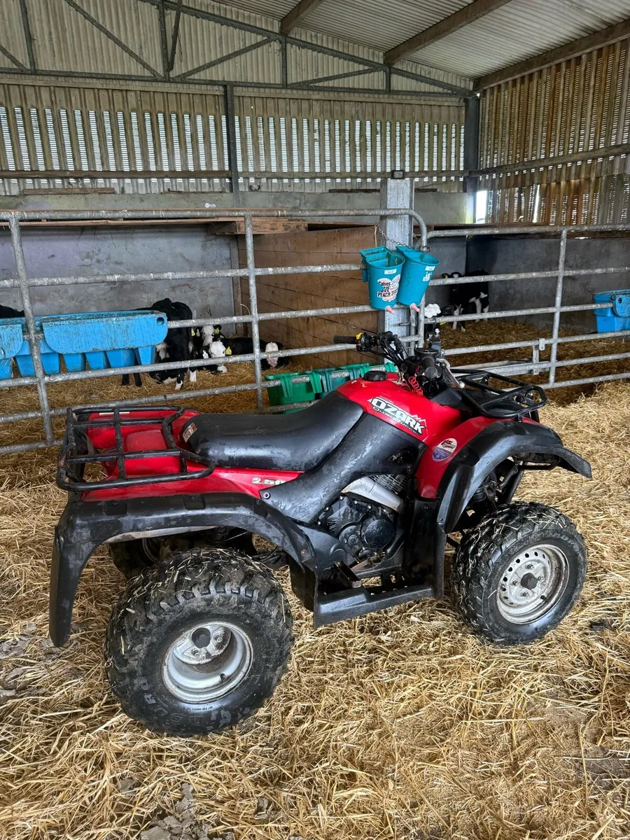 Suzuki ozark 250 - Image 3