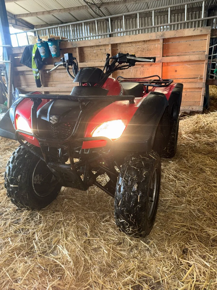 Suzuki ozark 250 - Image 4