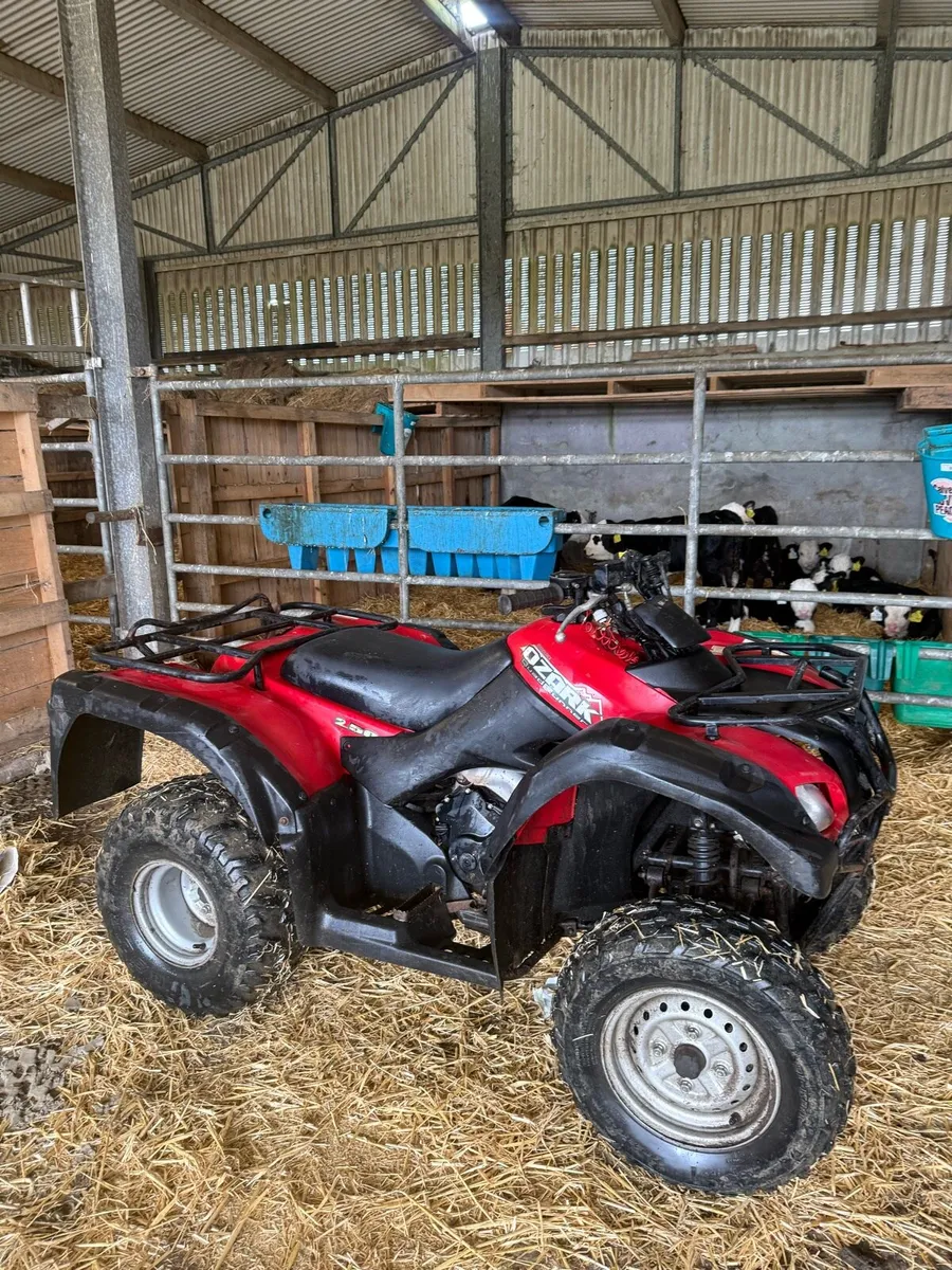 Suzuki ozark 250 - Image 2