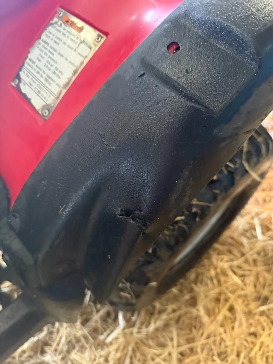 Suzuki ozark 250 - Image 3