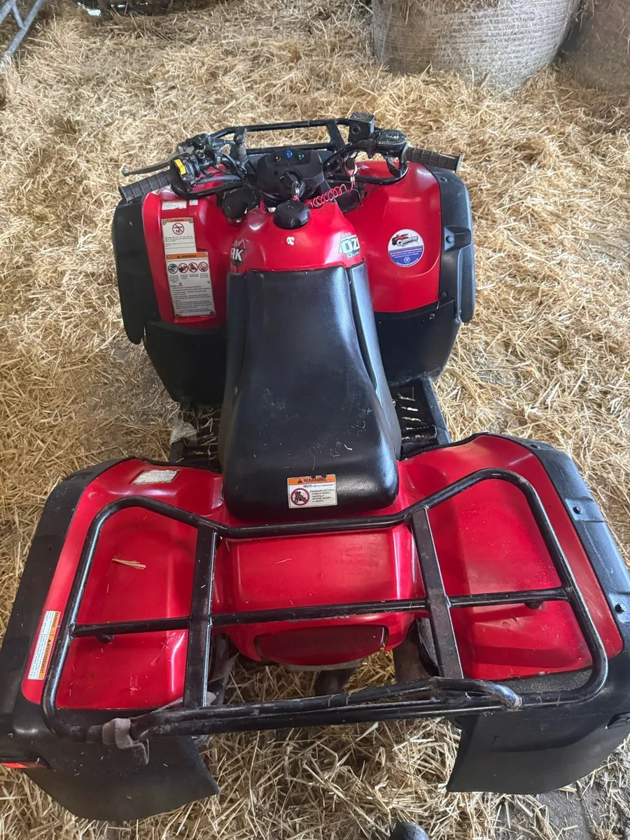 Suzuki ozark 250 - Image 4