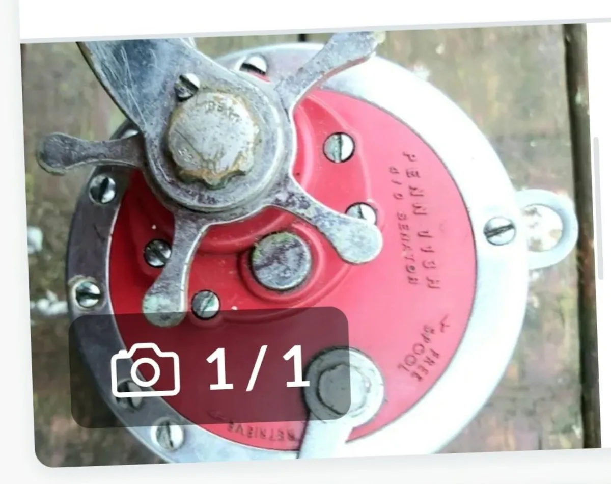 Fishing reels Penn ( 3  ) - Image 3