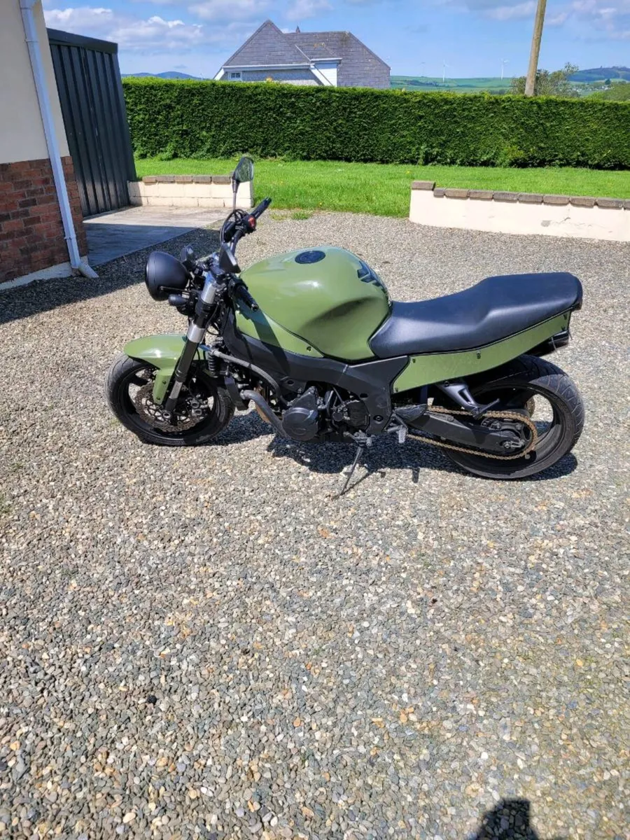 Honda blackbird - Image 4