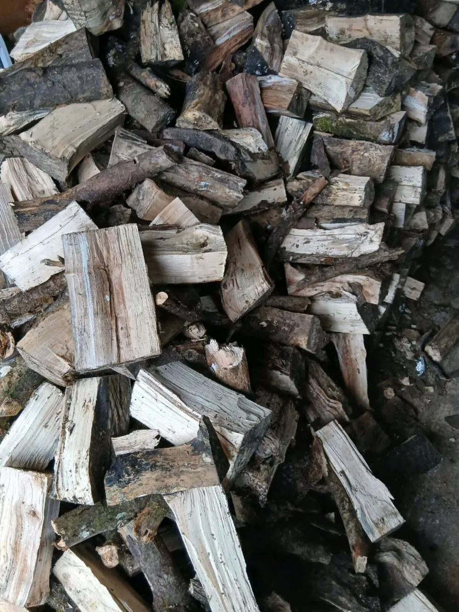 Timber ash and beach - Image 2
