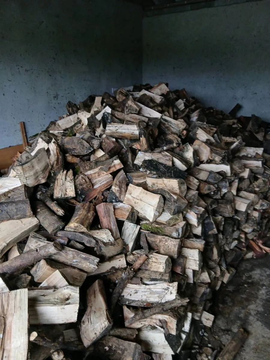 Timber ash and beach - Image 3