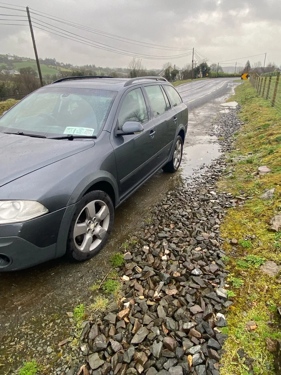 Skoda Octavia scout - Image 2