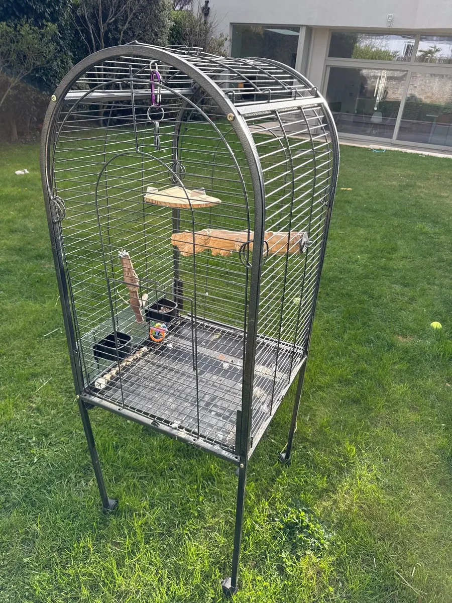 Bird cage