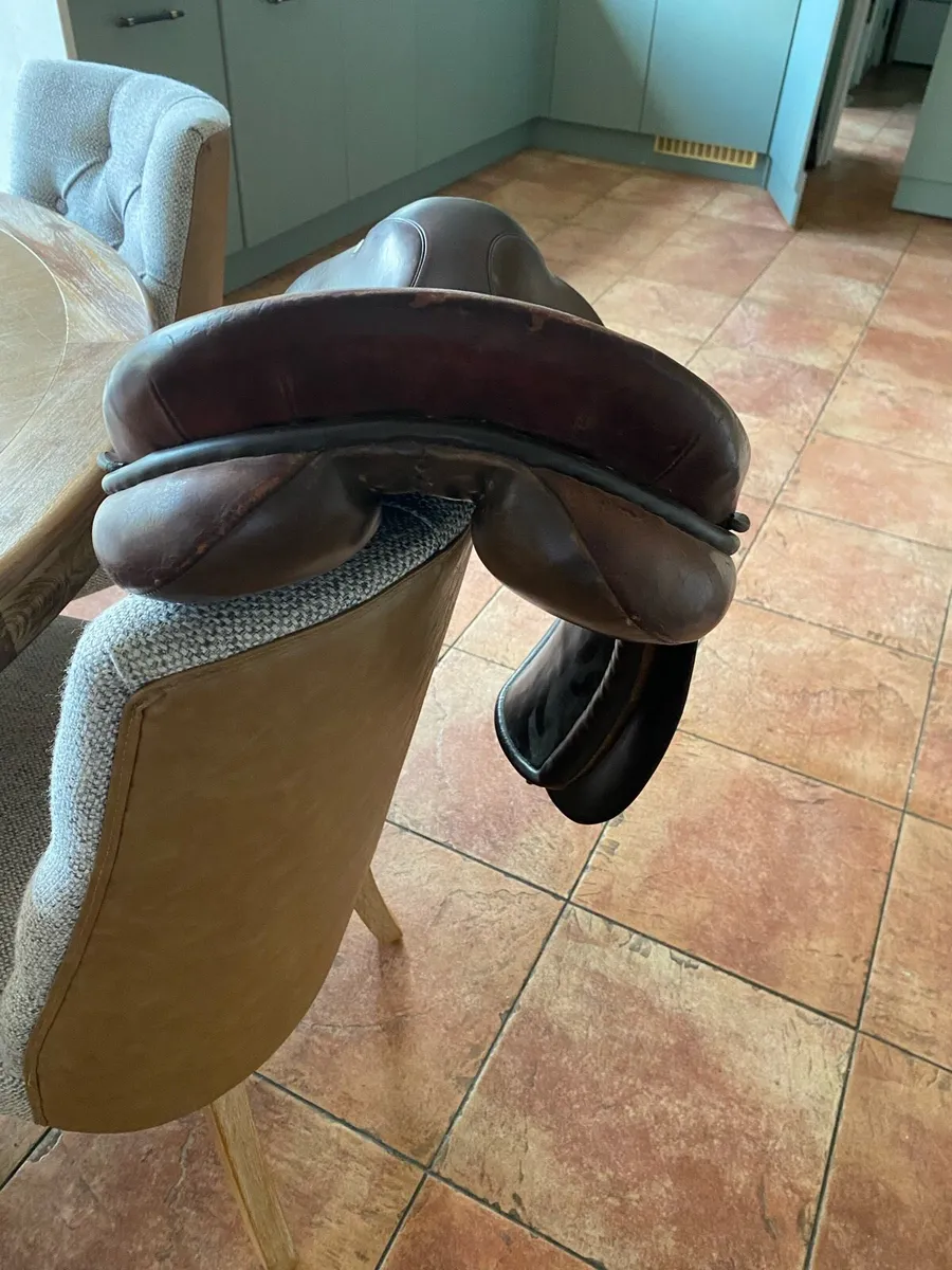 Saddle - Image 2