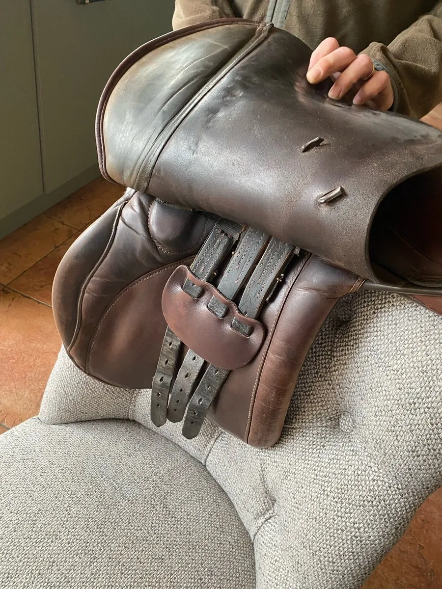 Saddle - Image 4