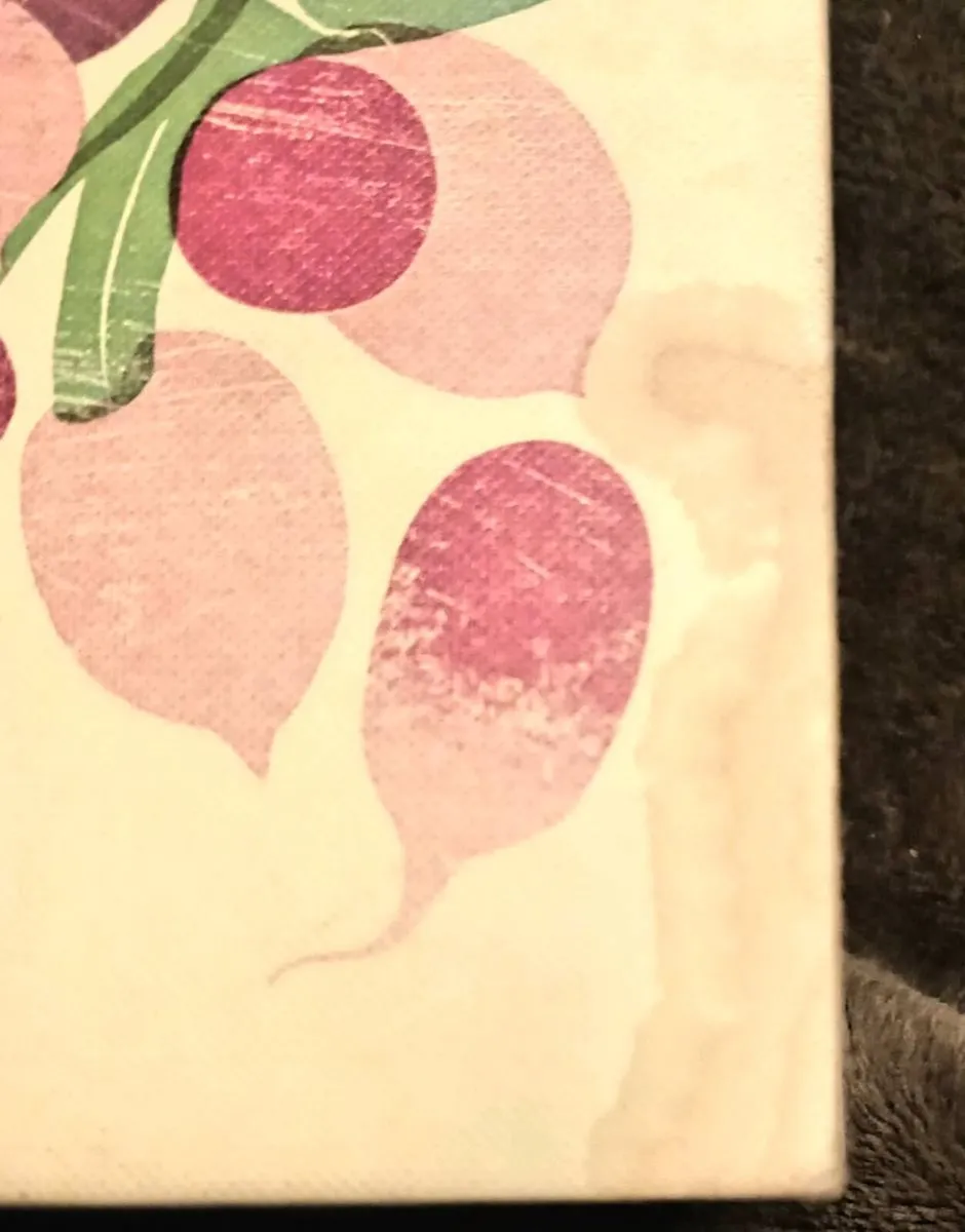 Grow Cook Nourish Darina Allen Book - Image 3