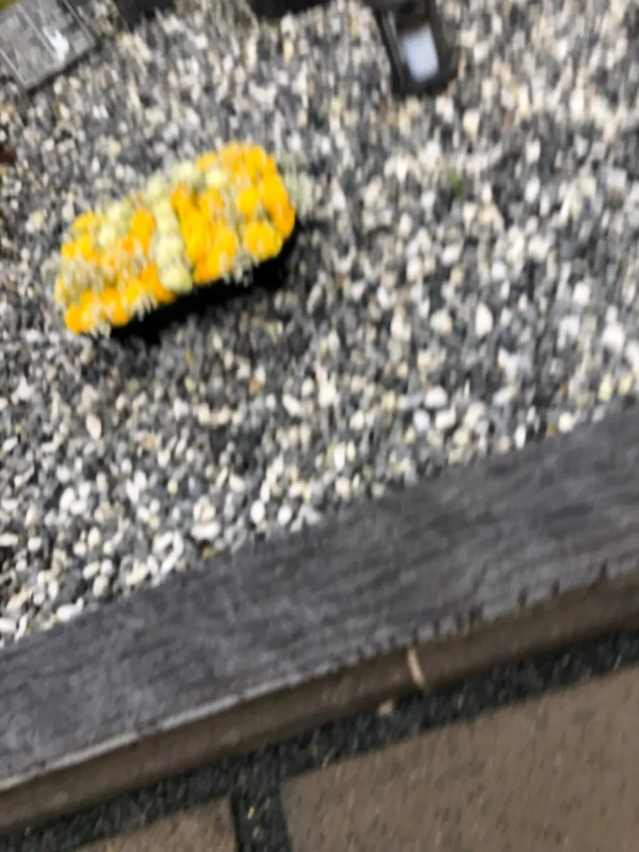Clocks  old writing desk - Image 1