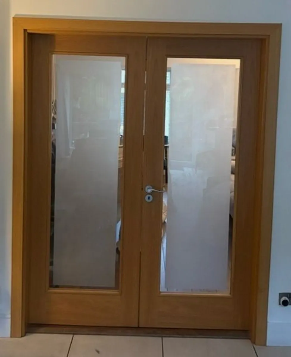 Interior double doors with frame - Image 1