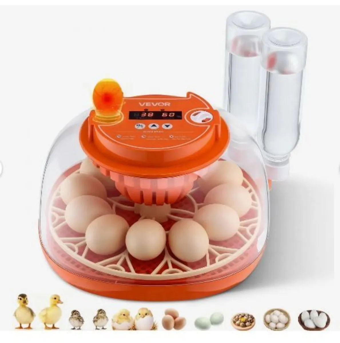 12 Egg Incubator, Automatic Egg Turner - Image 4