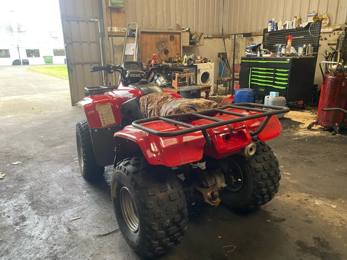 Honda fourtrax 250 - Image 4