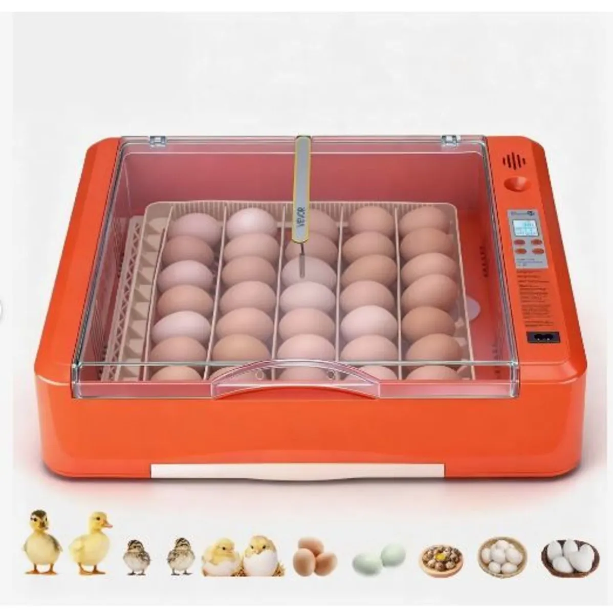 36 Egg Incubator, Automatic Egg Turner - Image 3