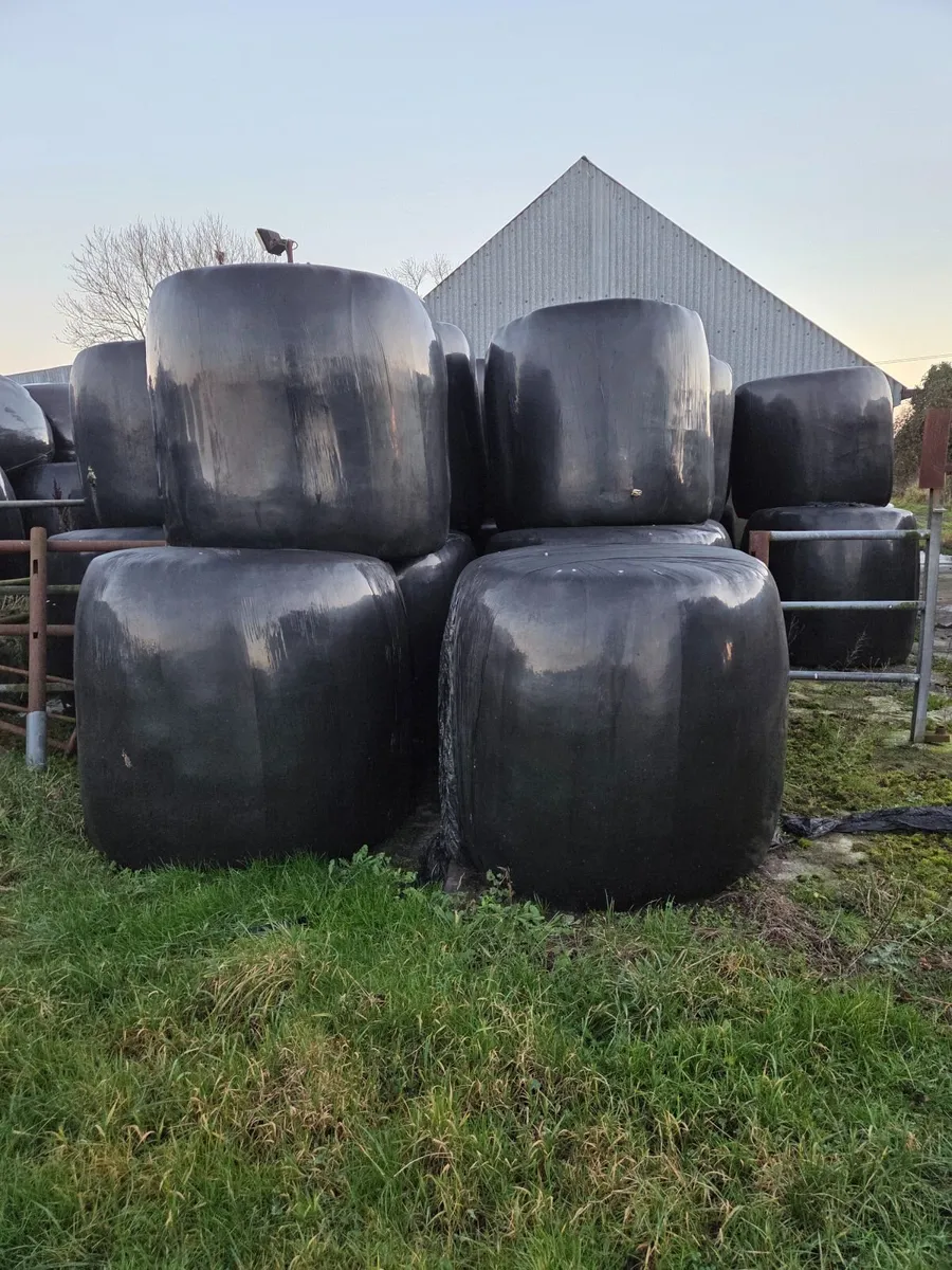 Silage bales - Image 2