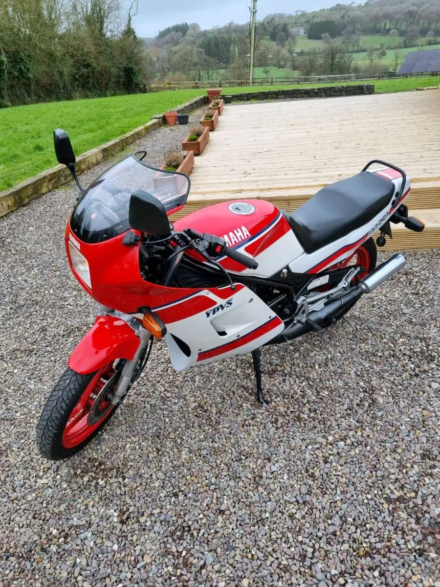RD350 YPVS - Image 2