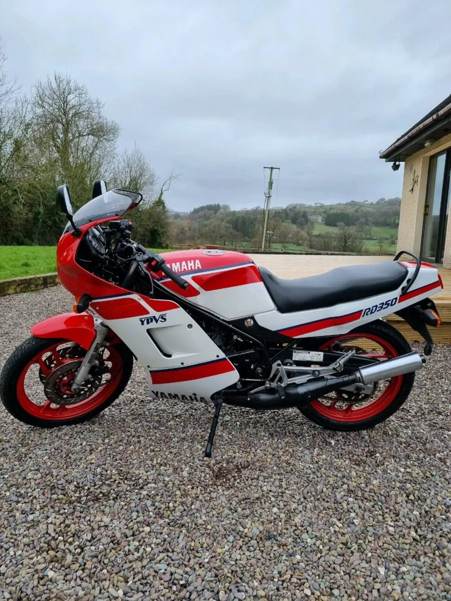 RD350 YPVS - Image 1