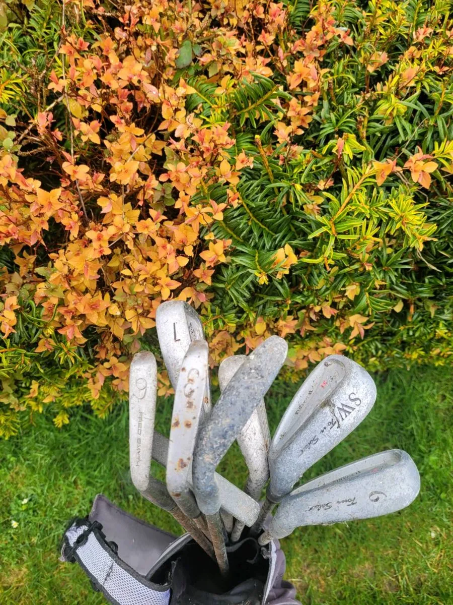 Golf clubs - Image 4