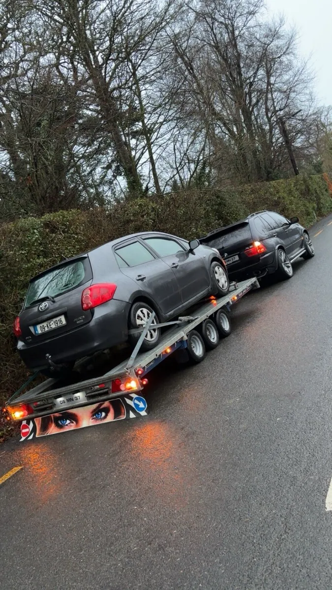 Recovery/Transport - Image 1