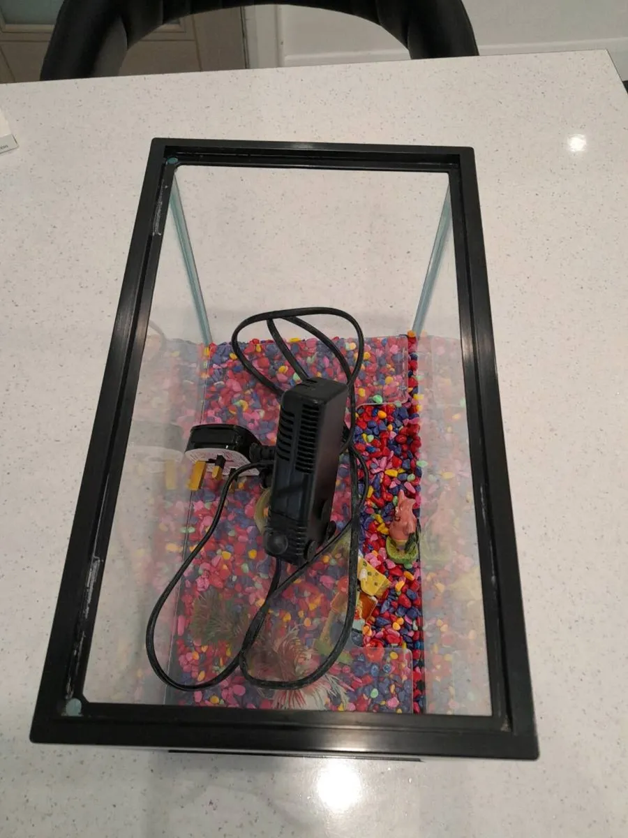 Fish tank free to take away - Image 2