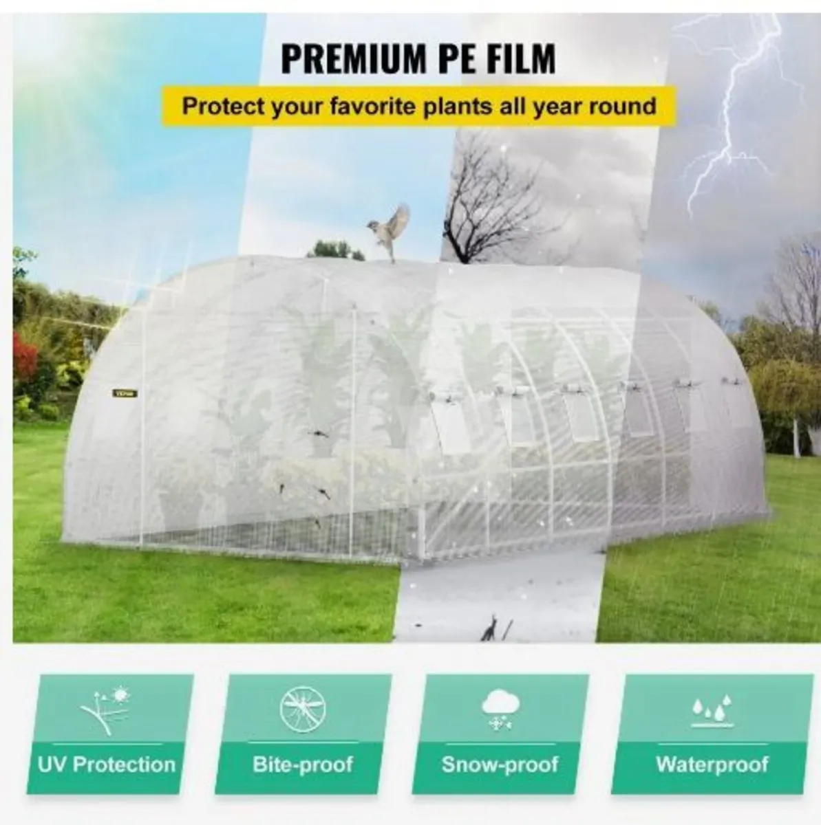 Walk-in Tunnel Greenhouse - Image 4