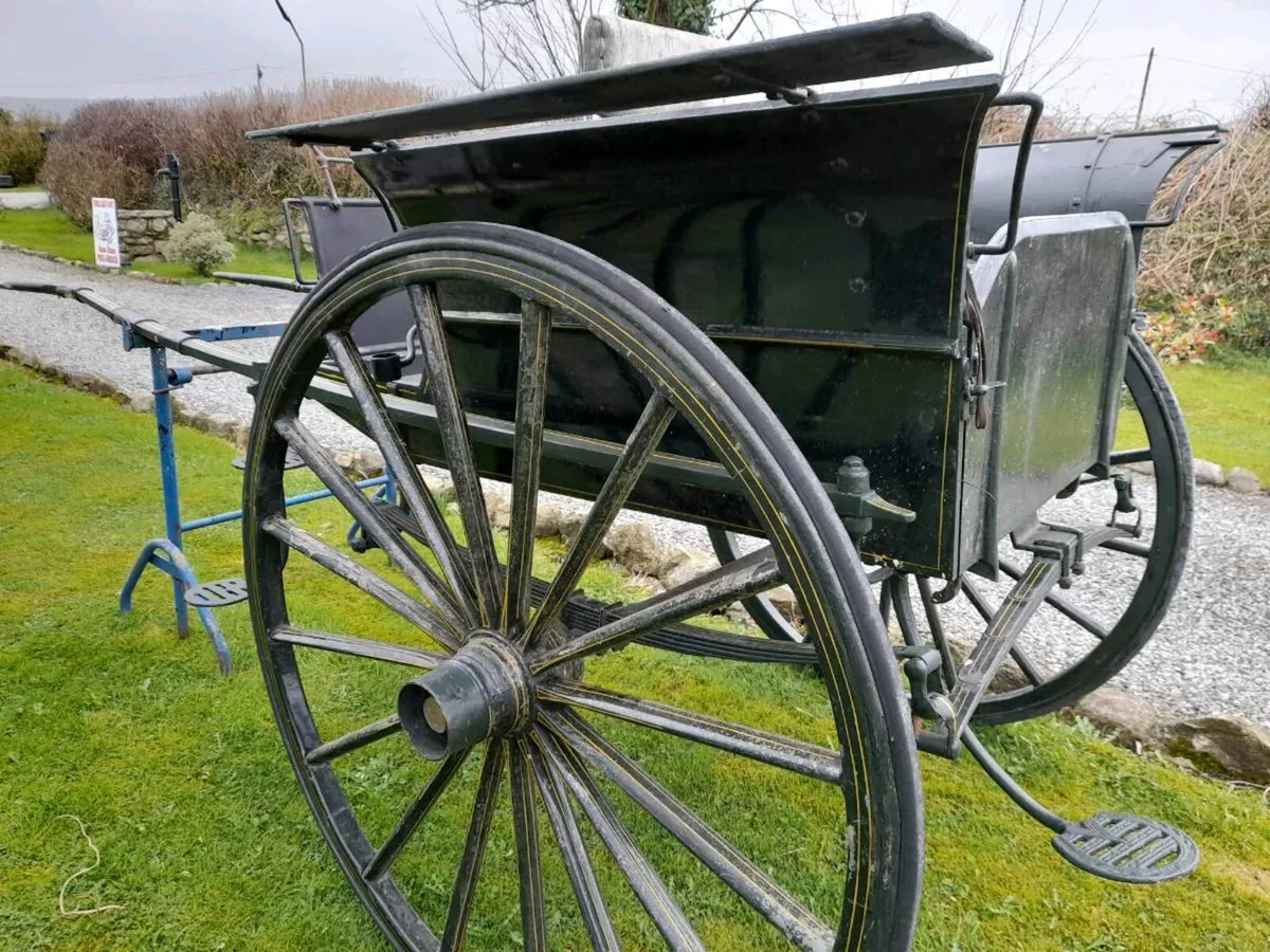 Horse Carriage - Image 1