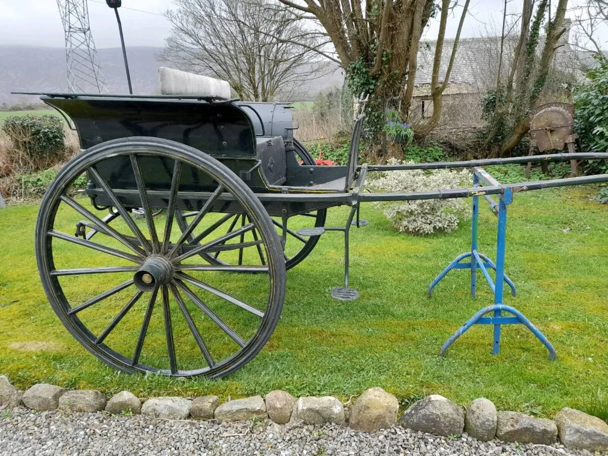 Horse Carriage - Image 4