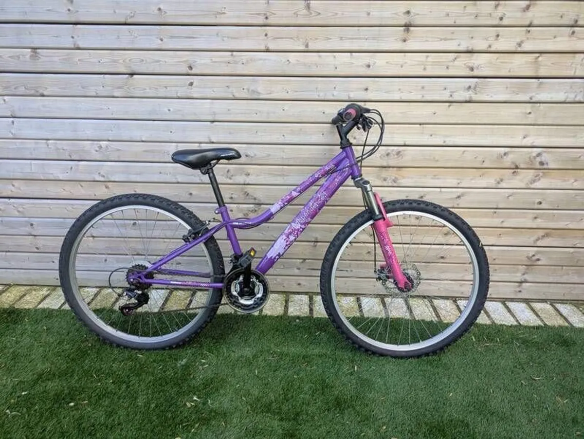Bike (teenager) - Image 1