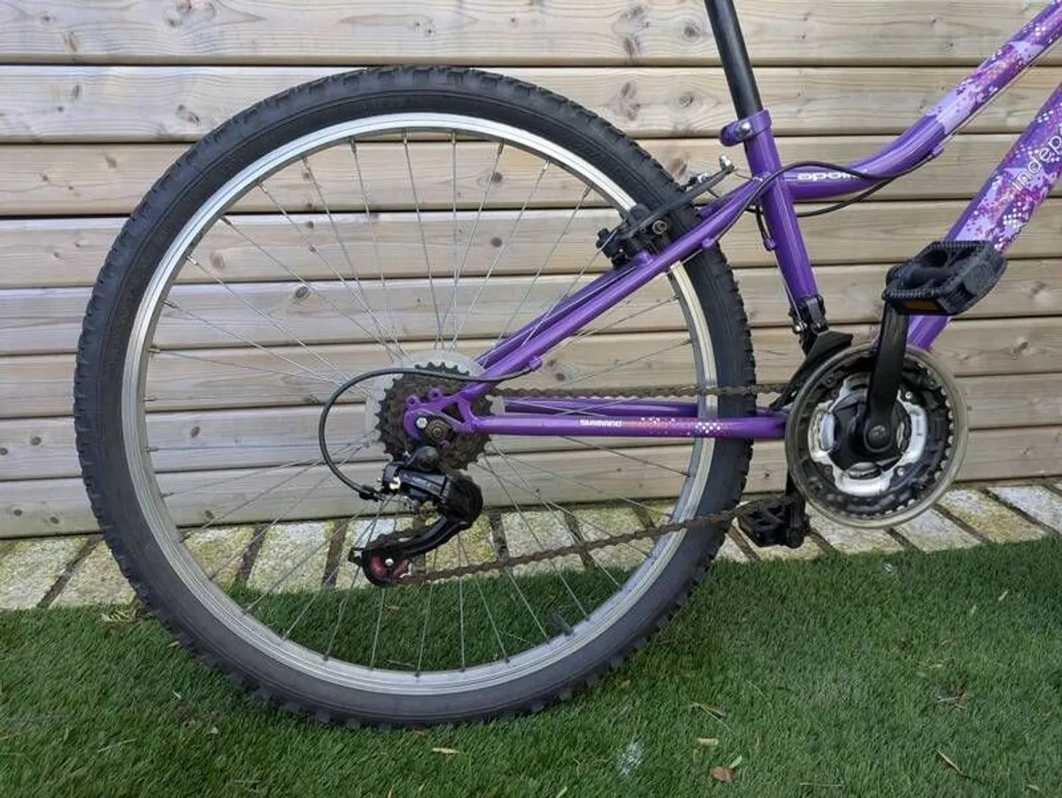 Bike (teenager) - Image 2