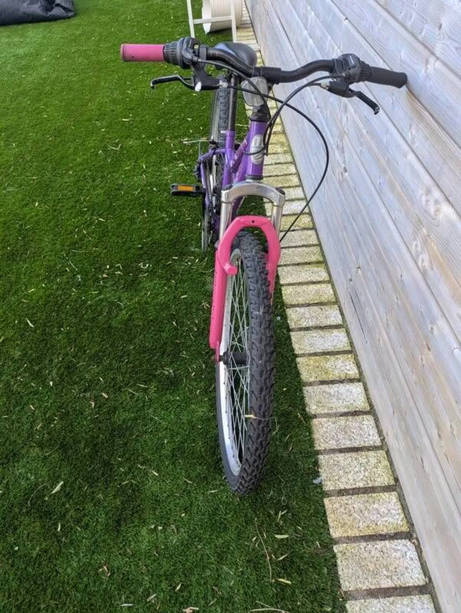 Bike (teenager) - Image 3