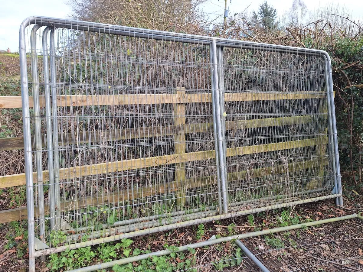 Site fencing - Image 2