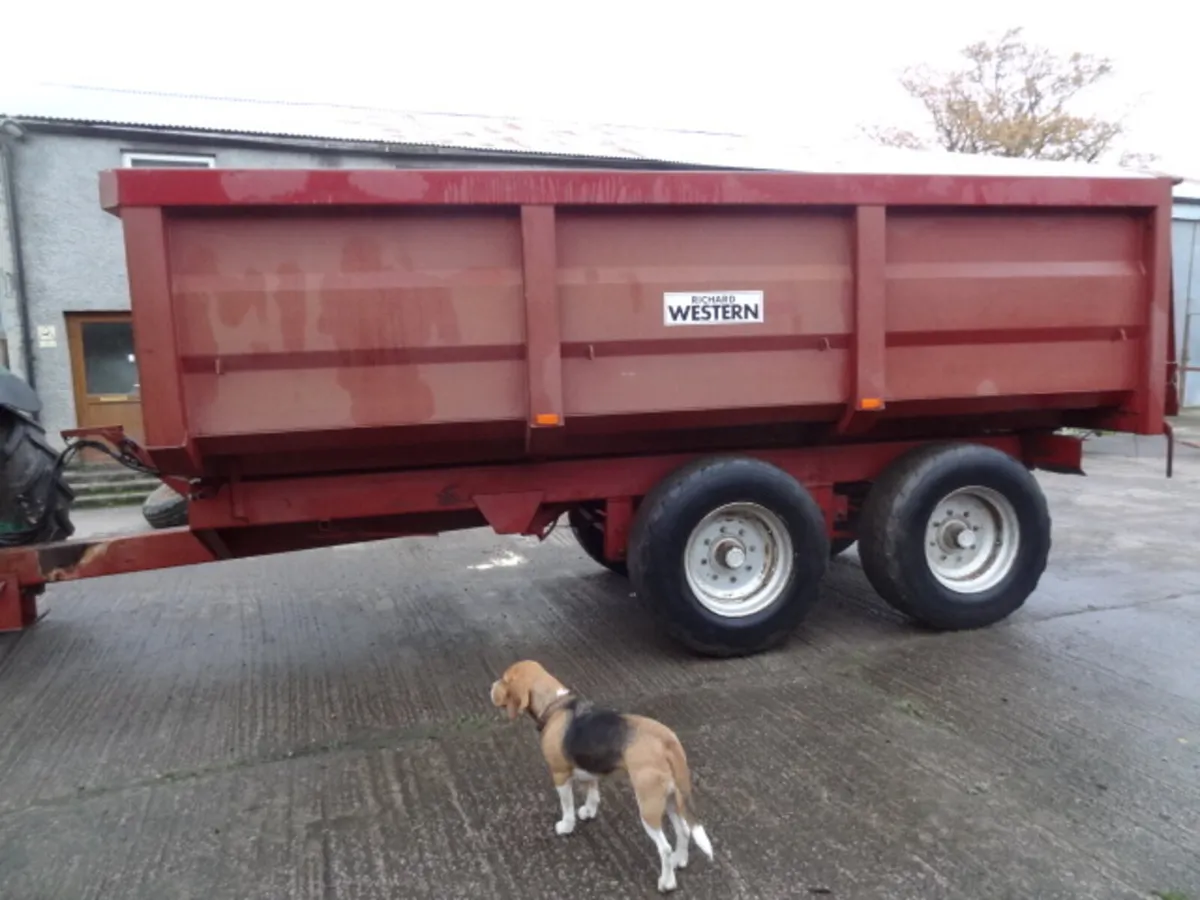 Richard Western 11 Ton Tipping Trailer - Image 2