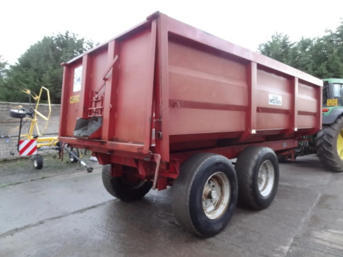 Richard Western 11 Ton Tipping Trailer - Image 4