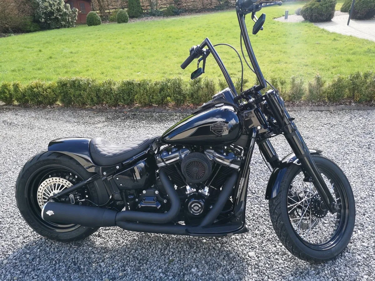 Harley Davidson Costum Slim - Image 3