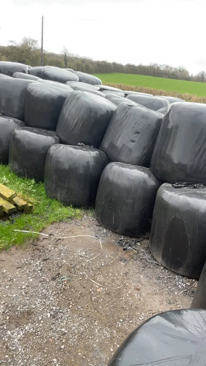 Silage - Image 1