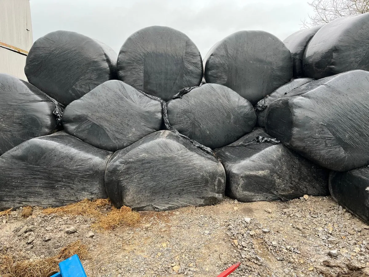 Silage Bales