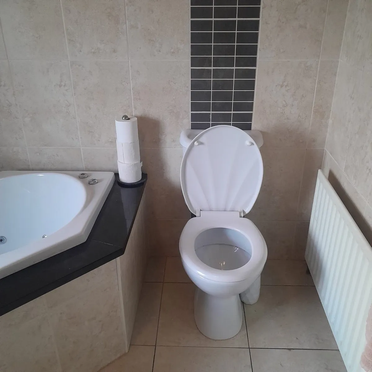 Bathroom suite - Image 2