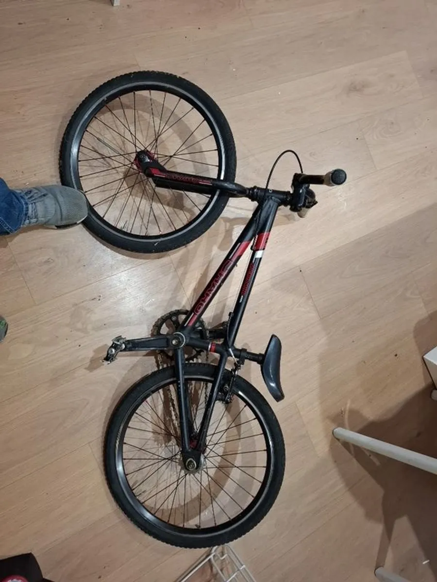 Haro Micro Mini race bike - Image 1