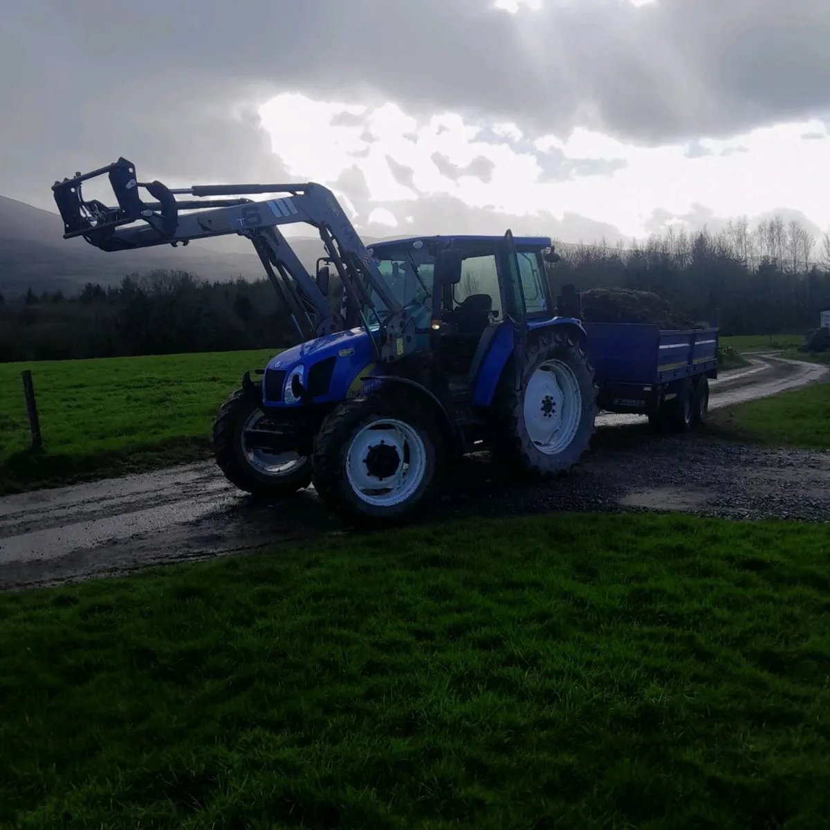 Mushroom compost delivered - Image 4