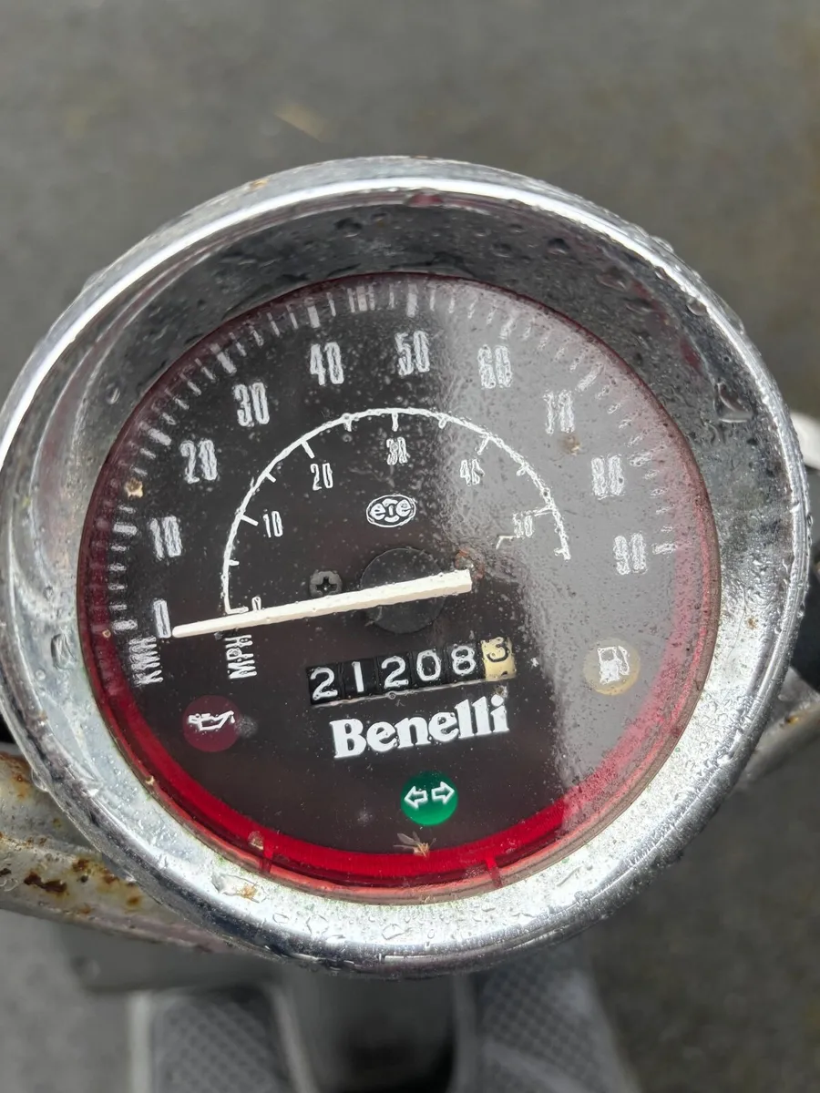 Pepe Benelli 49cc - Image 2