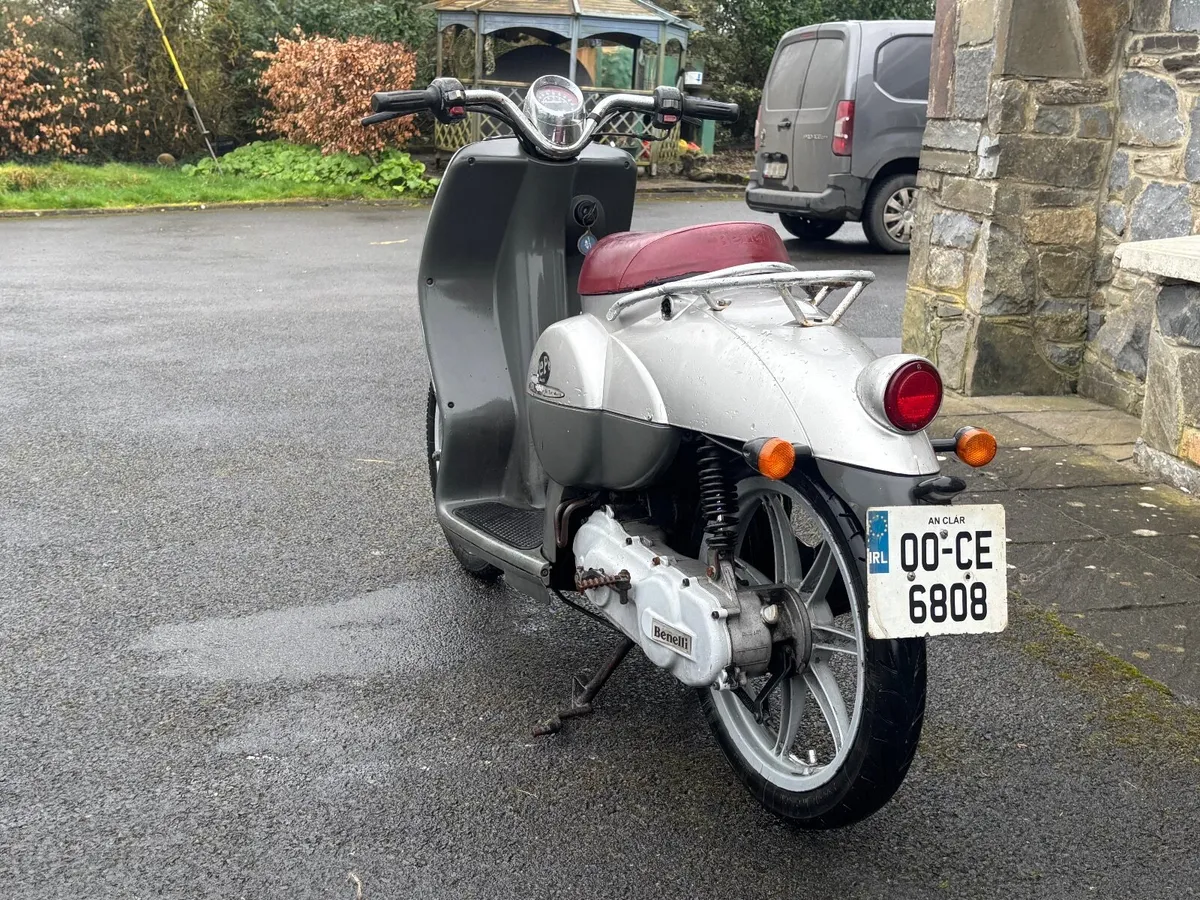 Pepe Benelli 49cc - Image 3