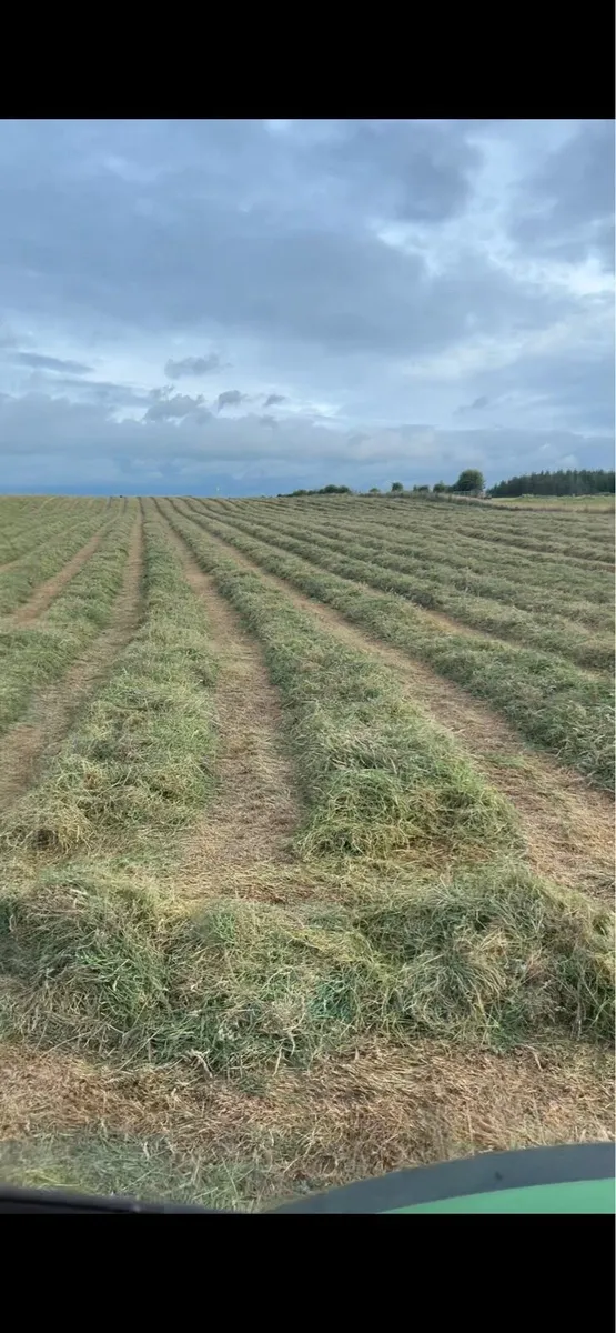 Silage haylage - Image 3
