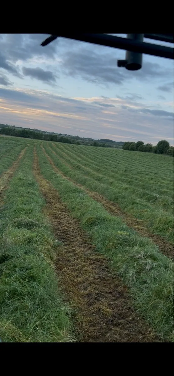 Silage haylage - Image 4