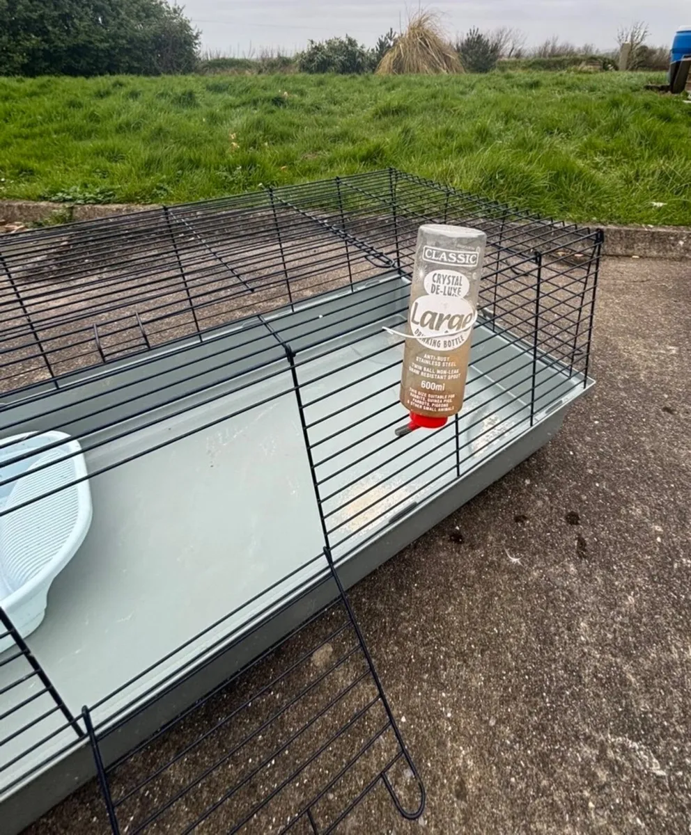 Rabbit cage - Image 4